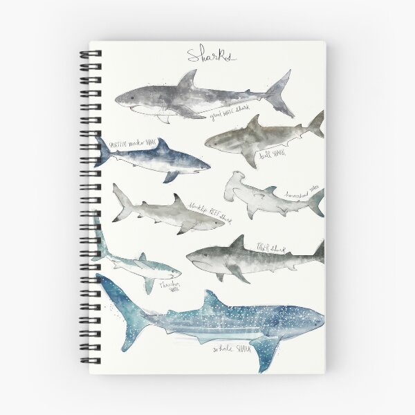 Item preview, Sharks designed and sold by Amy Hamilton.