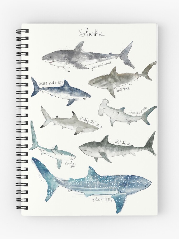 Thumbnail 1 of 3, Journal, Sharks designed and sold by AmyHamilton.