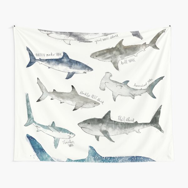 Item preview, Sharks designed and sold by Amy Hamilton.