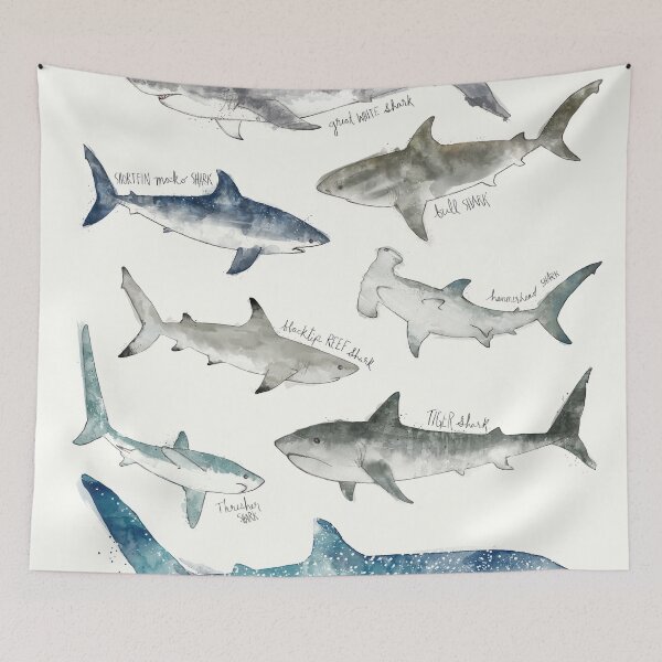 Item preview, Sharks designed and sold by Amy Hamilton.