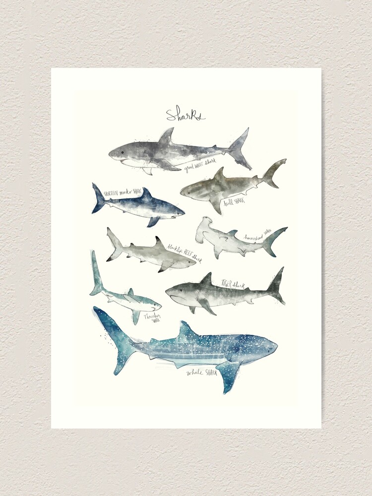 Alternate view of Sharks Art Print