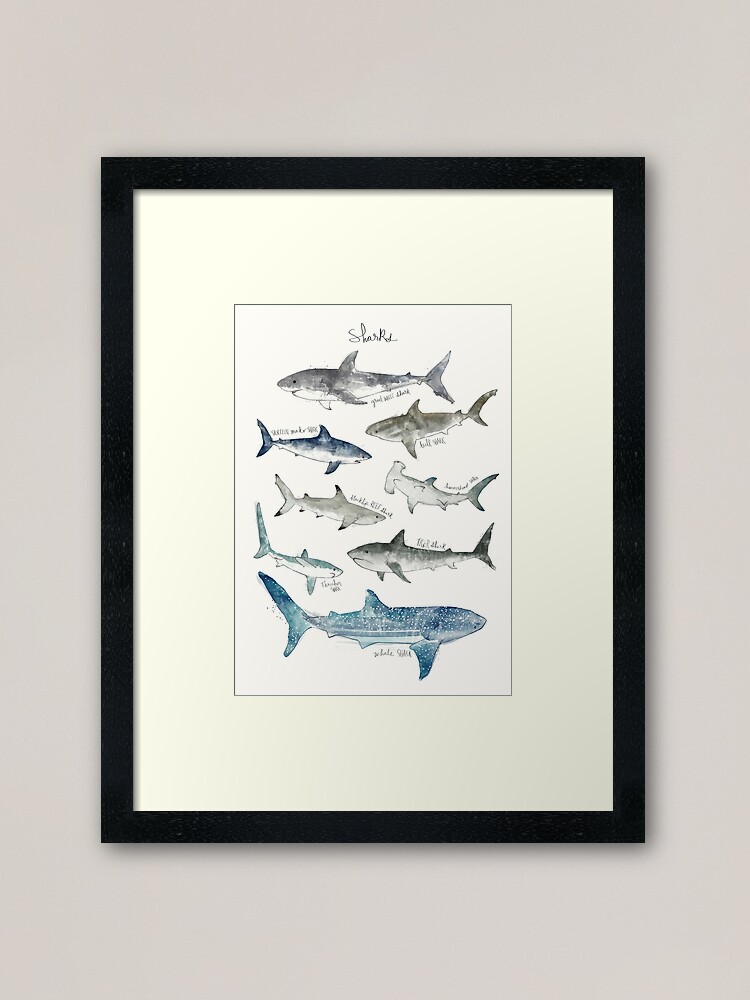 Alternate view of Sharks Framed Art Print