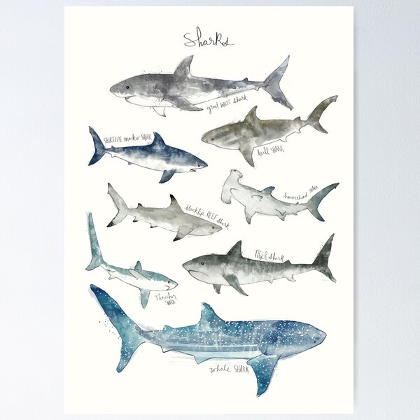 Shark Tank Posters for Sale - Fine Art America