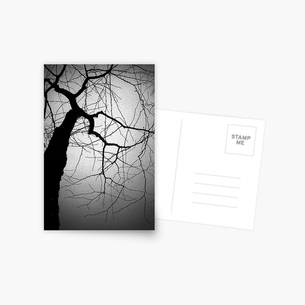 Item preview, Berlin tree designed and sold by Brendan Ó Sé.