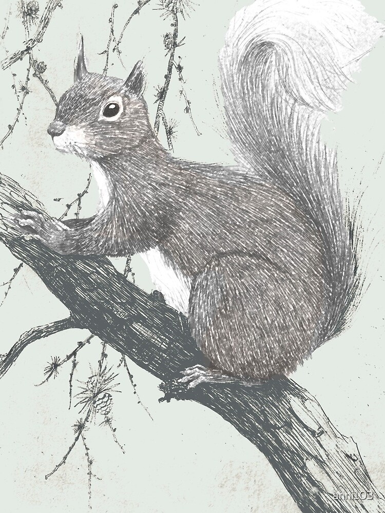 Squirrel in a tree by anni103