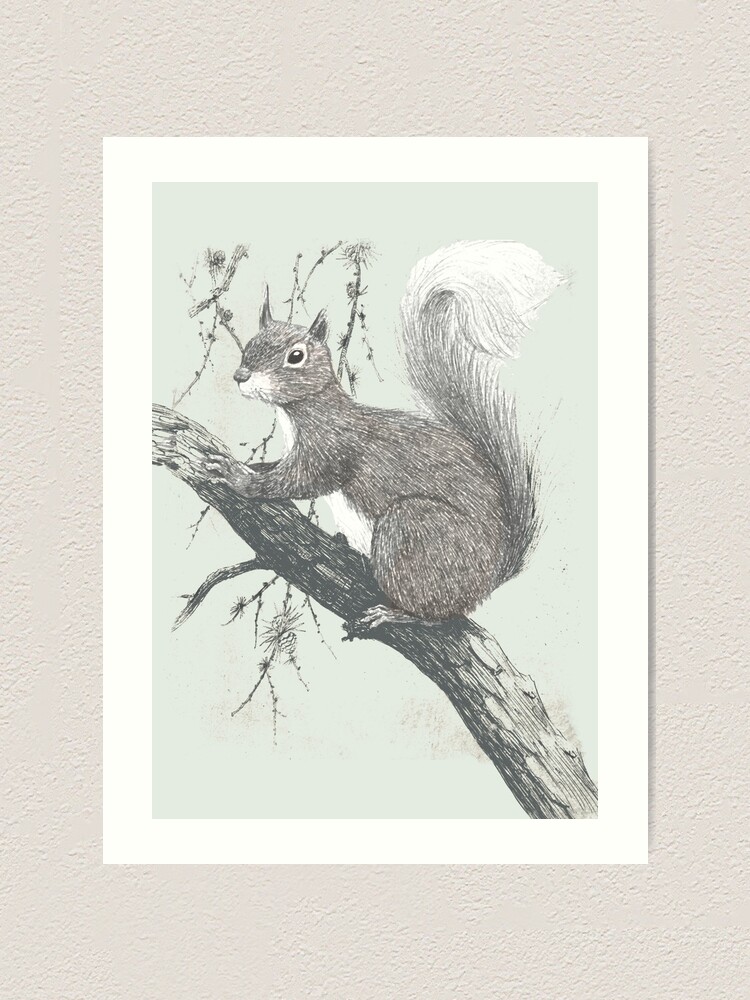 Alternate view of Squirrel in a tree Art Print