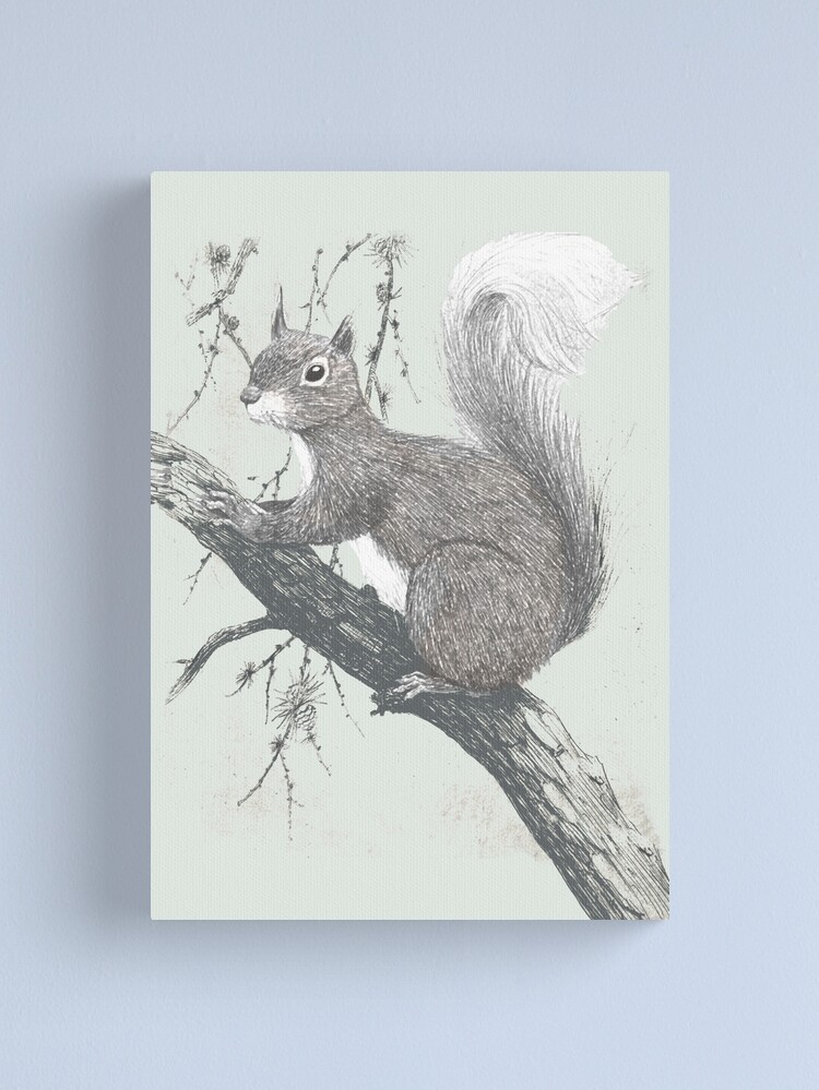 Alternate view of Squirrel in a tree Canvas Print