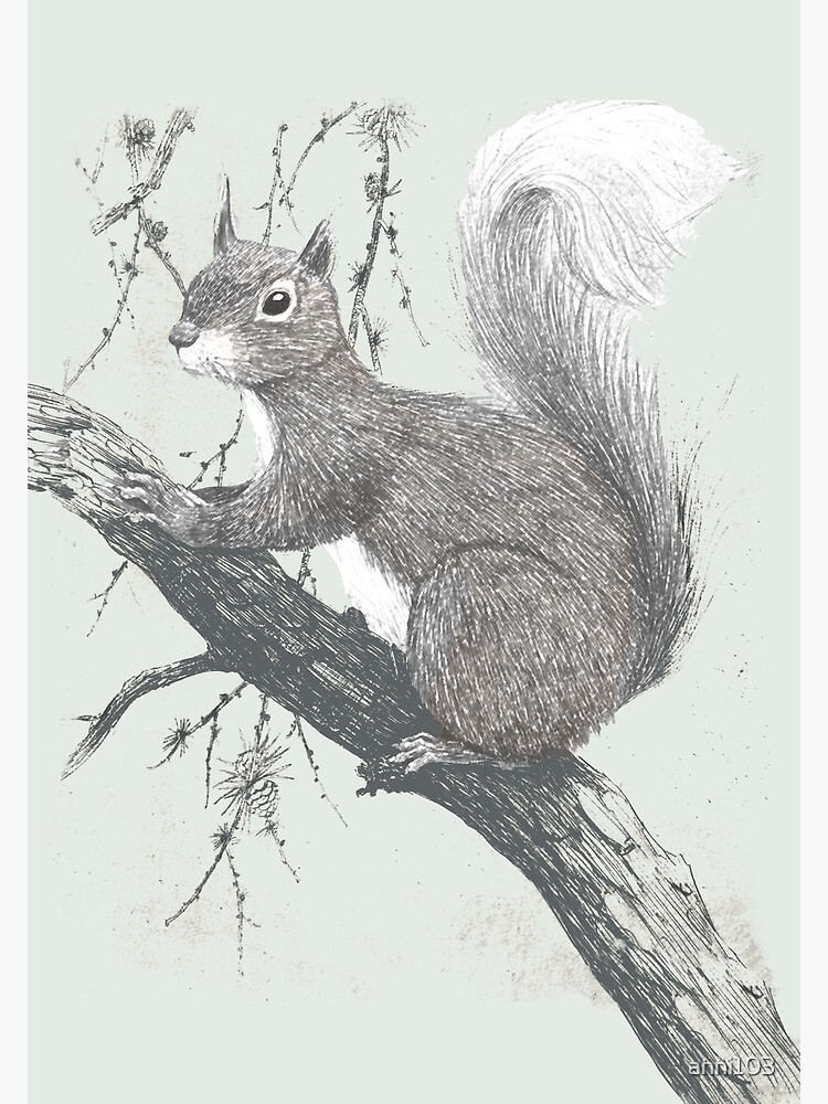 Squirrel in a tree by anni103