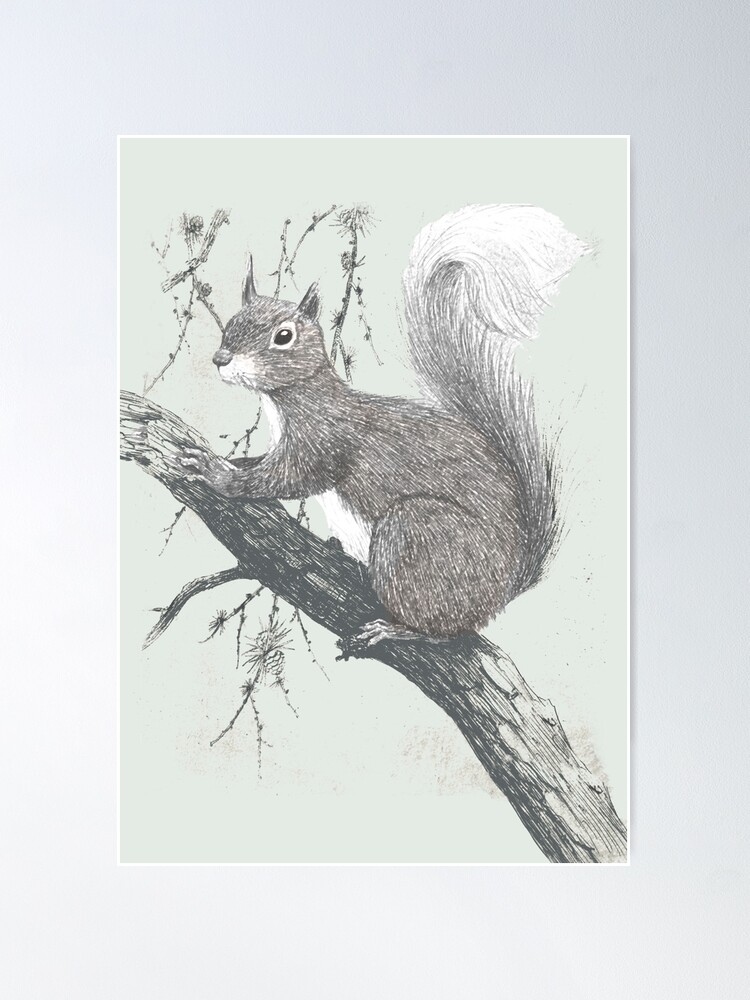 Alternate view of Squirrel in a tree Poster