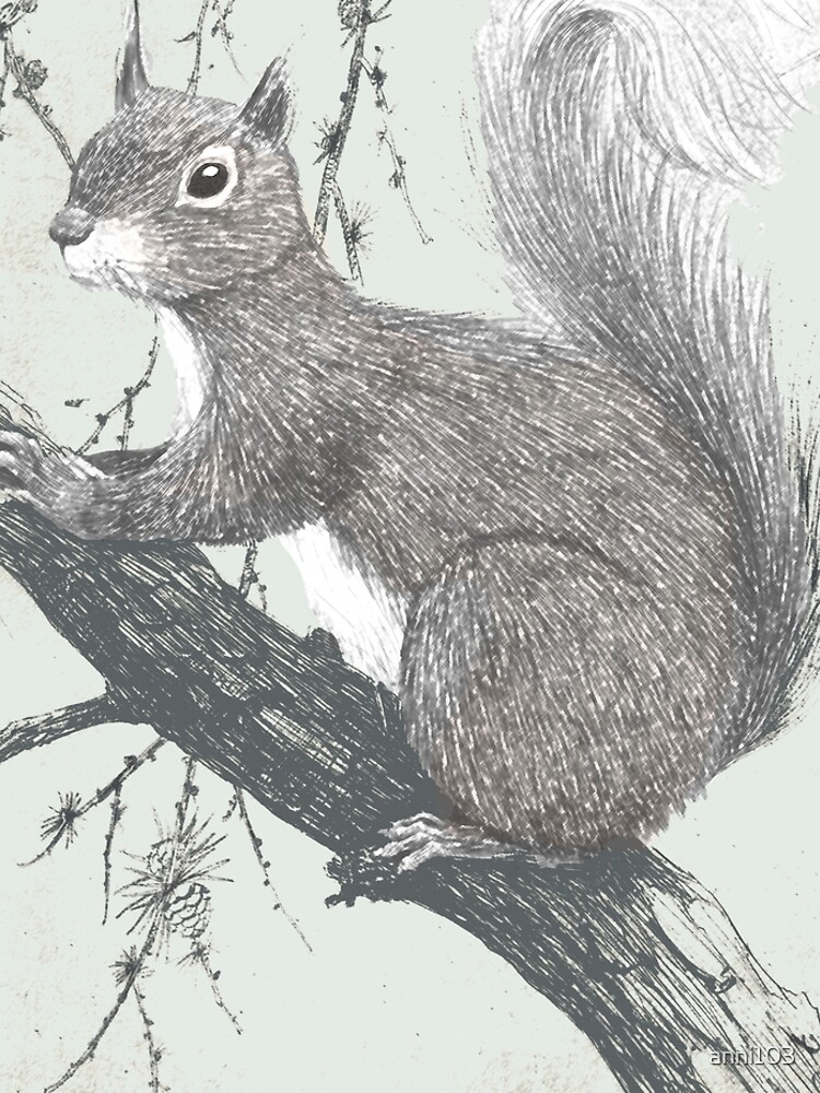 Squirrel in a tree by anni103