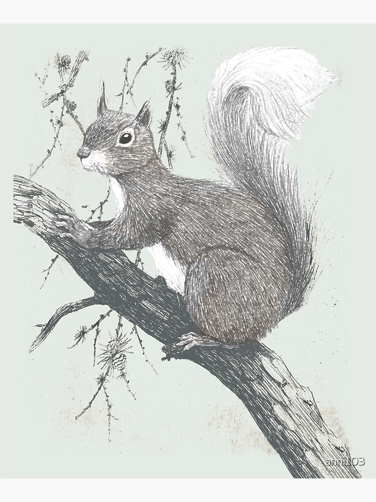 Squirrel in a tree by anni103