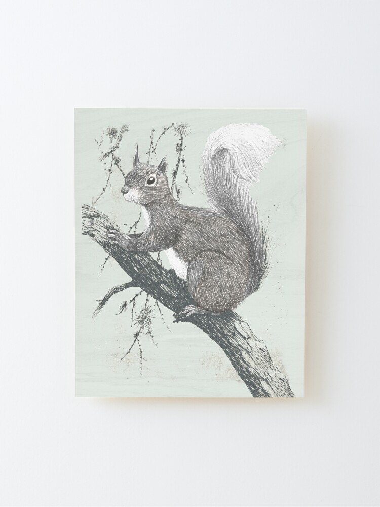 Alternate view of Squirrel in a tree Mounted Print