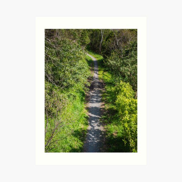 Walking And Cycling Track Art Print