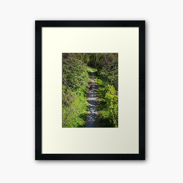 Walking And Cycling Track Framed Art Print