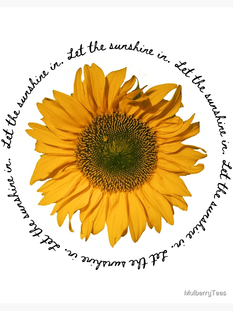 Lámina rígida «Girasol Let the Sunshine In Quote Letter Print Design» de  MulberryTees | Redbubble