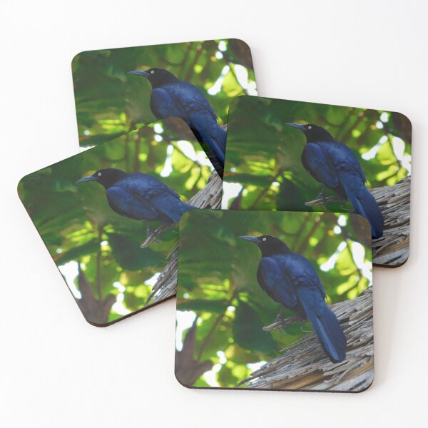 Item preview, Grackle designed and sold by kestrada2906.