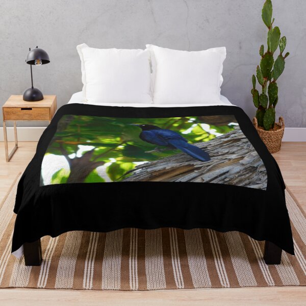Item preview, Grackle designed and sold by kestrada2906.