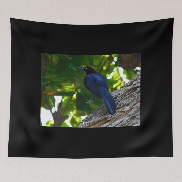 Item preview, Grackle designed and sold by kestrada2906.