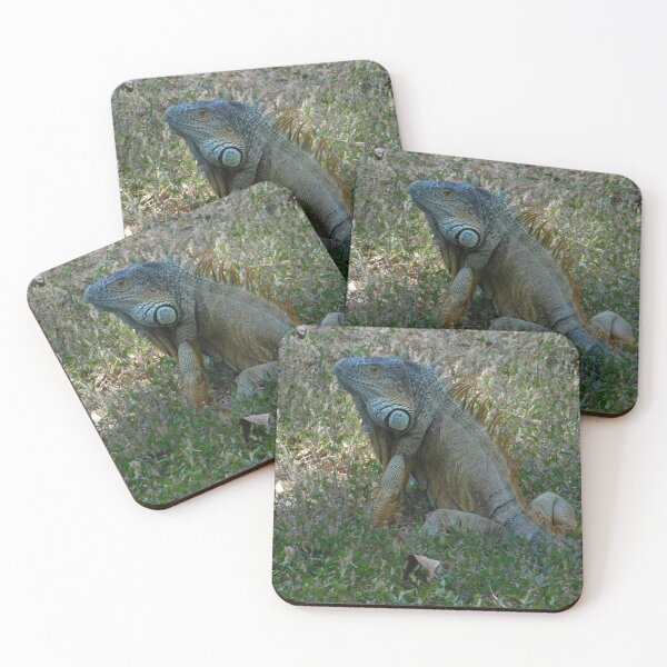 Item preview, Garrobo designed and sold by kestrada2906.