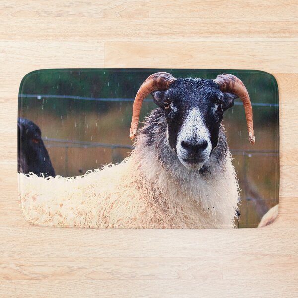Item preview, Don't Look at Me Like I was a Wet Sweater (On the road to Mallaig, Scotland) designed and sold by Yannik Hay.