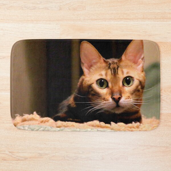 Item preview, Did You Knock? designed and sold by Michael May.