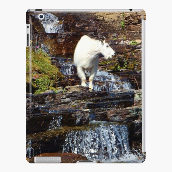 Logan Pass Mountain Goat iPad Snap Case