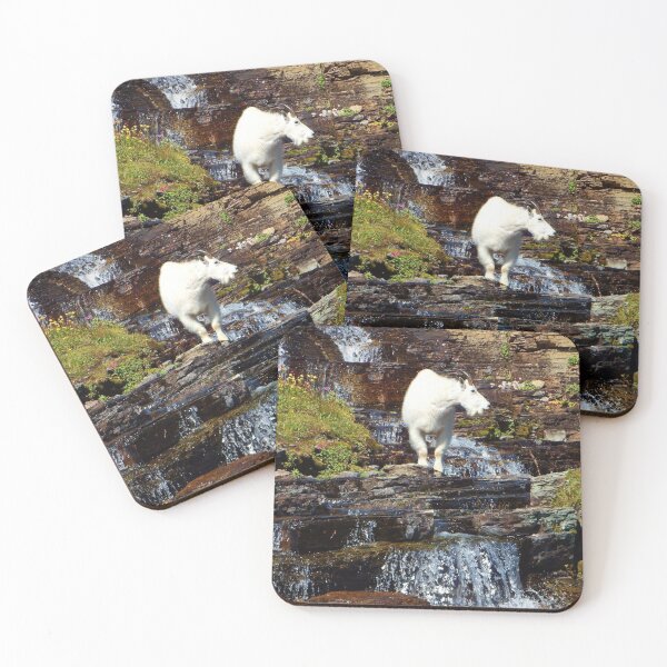 Logan Pass Mountain Goat Coasters (Set of 4)