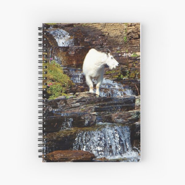 Logan Pass Mountain Goat Spiral Notebook