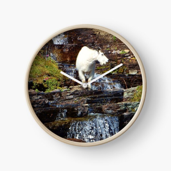 Logan Pass Mountain Goat Clock