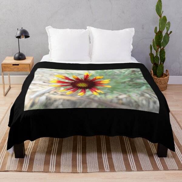 Item preview, Gaillardia Blanket Flower Petals Not Yet Fully Open designed and sold by Beachy.