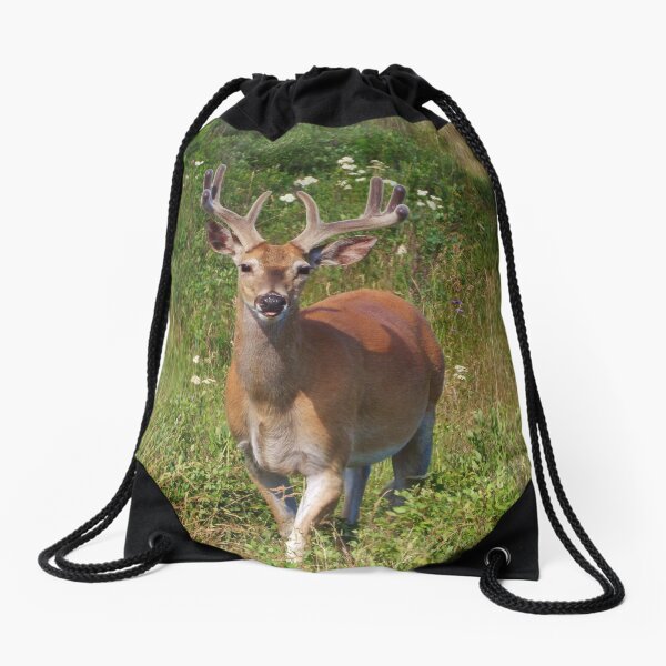 Fenceline Buck Drawstring Bag