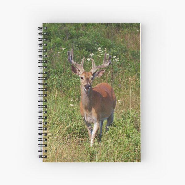 Fenceline Buck Spiral Notebook