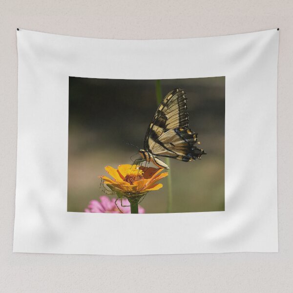 Item preview, Butterfly and Friend designed and sold by Brenda Burnett.
