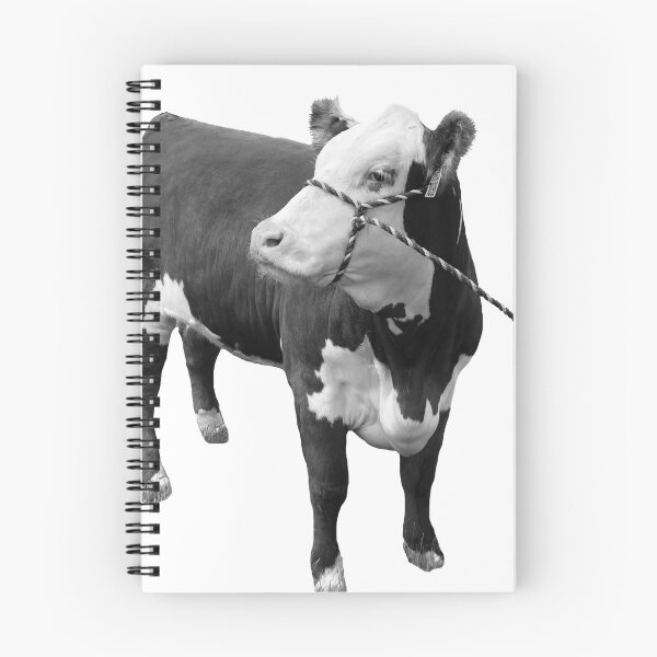 Item preview, Hereford Heifer Live designed and sold by SamFrig24.