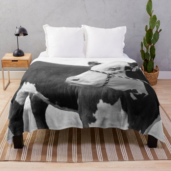 Item preview, Hereford Heifer Live designed and sold by SamFrig24.