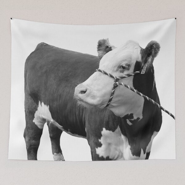 Item preview, Hereford Heifer Live designed and sold by SamFrig24.