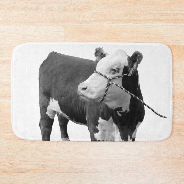Item preview, Hereford Heifer Live designed and sold by SamFrig24.