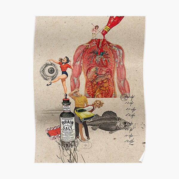 CATSUP Poster