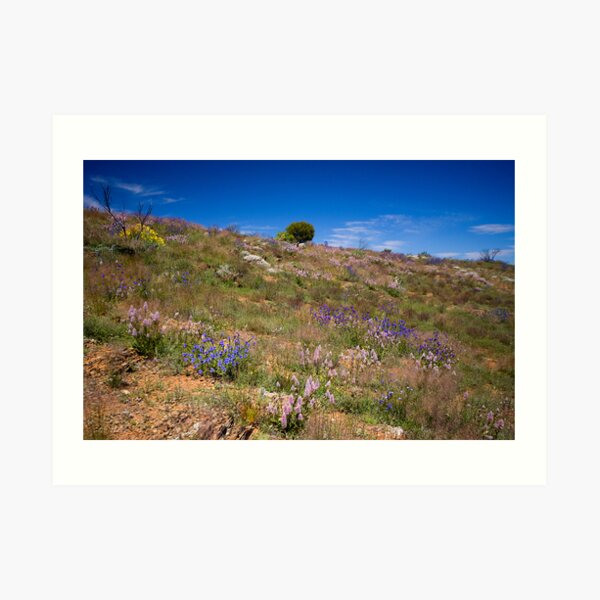 Hill of Flowers Art Print