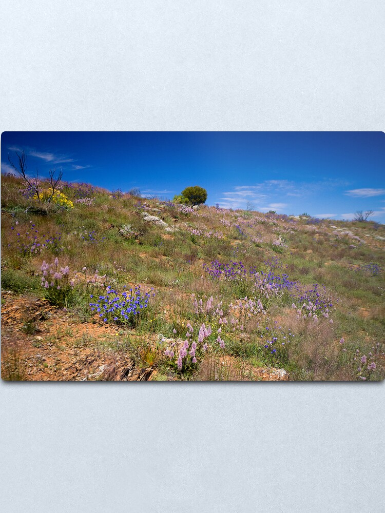 Alternate view of Hill of Flowers Metal Print