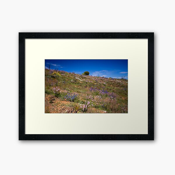 Hill of Flowers Framed Art Print