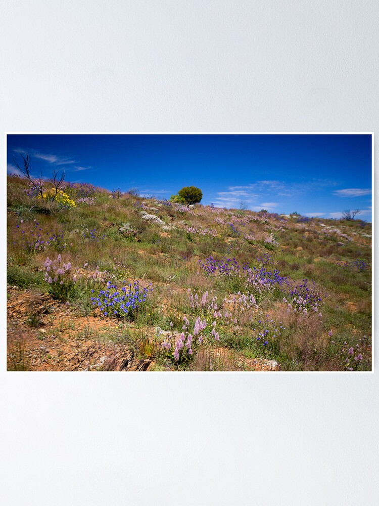 Alternate view of Hill of Flowers Poster
