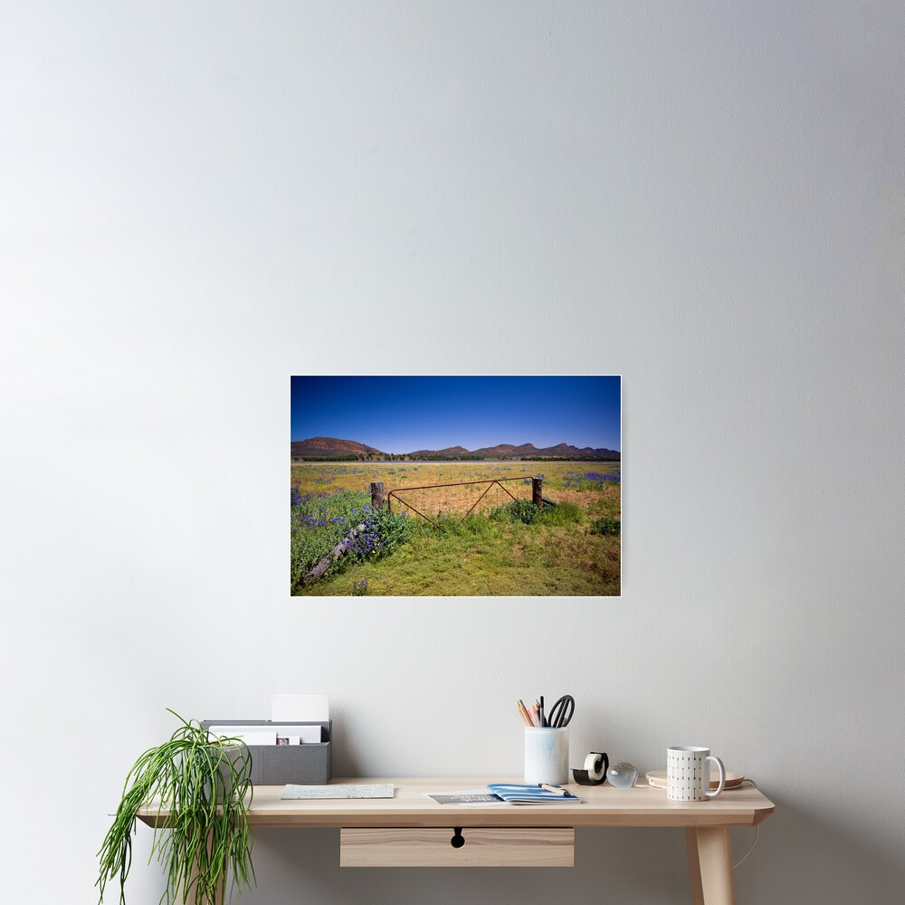 Paddock gate in the Flinders Ranges, SA Poster