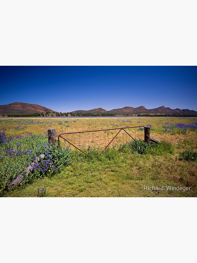Paddock gate in the Flinders Ranges, SA by RICHARDW