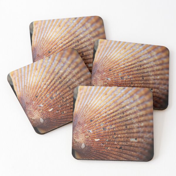 Item preview, Macro Shell designed and sold by Lydia Planalp.