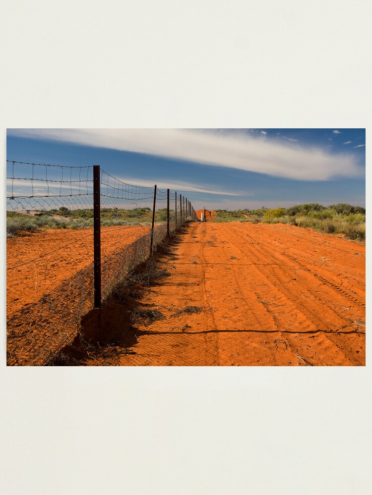 Alternate view of Dog Fence at Cameron's Corner Photographic Print