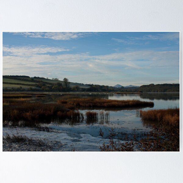 Item preview, Autumn at the Quoile Pondage 2 designed and sold by Jon Lees.