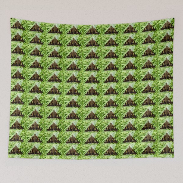 Item preview, Skipper designed and sold by Trish Meyer.