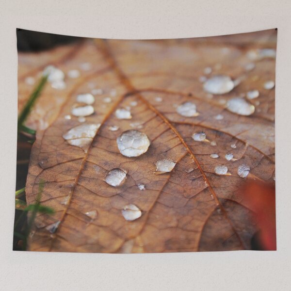 Item preview, Autumn Leaf after Rain 2 designed and sold by Lydia Planalp.