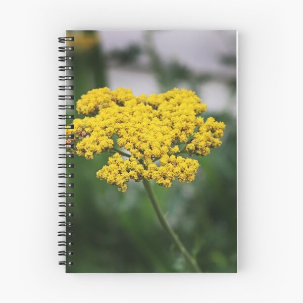 Item preview, Yarrow designed and sold by Michiale.